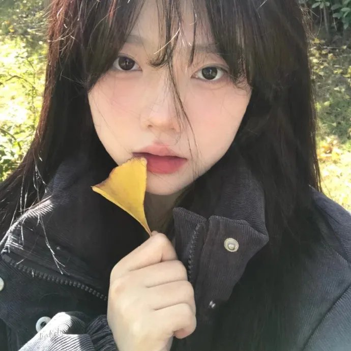破碎太阳之心